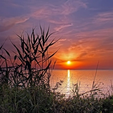 west, sun, Sailboats, grass, lake