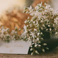 change, Vase, card, White, birthday, Flowers, Wishes