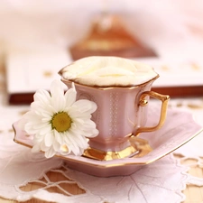 White, Daisy, plate, coffee, cup