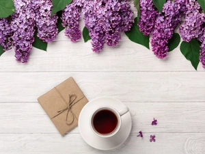 cup, without, Present, White, Flowers, coffee, boarding