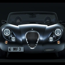 Grill, Front, Wiesmann MF3