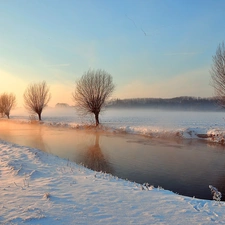 winter, rivers, willow, edges