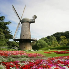 Flowers, viewes, Windmill, trees