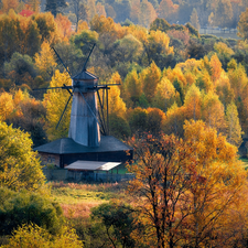 forest, Windmill, trees, viewes, autumn