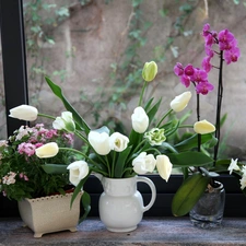 Bouquets, flowers, Window, spring