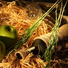 green ones, Bottle, Wines, apples