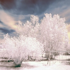 Winter, Aura, trees, viewes, snow