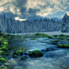 winter, River, forest