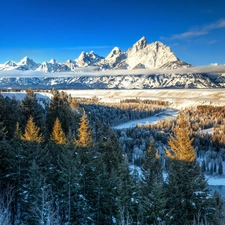 Mountains, snow, winter, forest