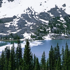 Mountains, Spruces, winter, River