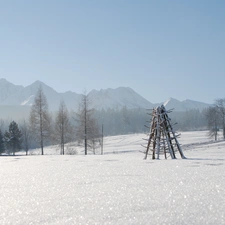 winter, cover, snow