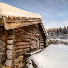 wooden, forest, winter, Home