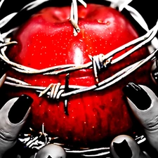 wire, prickly, Apple, hands, Red