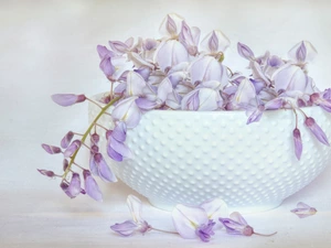 Flowers, vase, graphics, wistaria