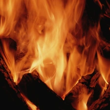Flames, combustion, wood, Big Fire