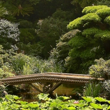 wooden, bridges, japanese, Pond - car, Garden
