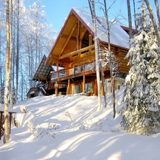 wooden, house, trees, viewes, Snowy