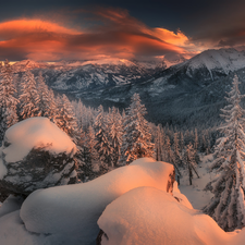 woods, trees, Poland, viewes, Tatry Mountains, Snowy, winter, Great Sunsets