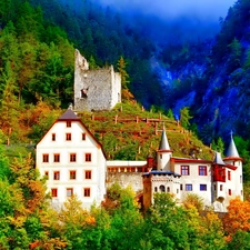 woods, Castle, Mountains