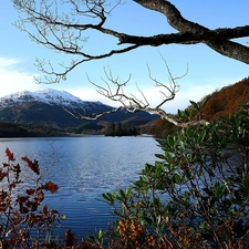 woods, lake, Mountains