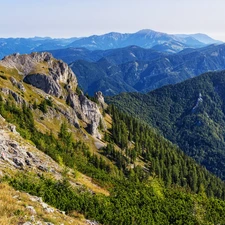 Styria, Austria, rocks, woods, Hochschwab Mountains