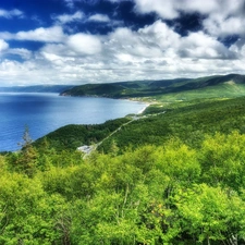 woods, Coast, sea