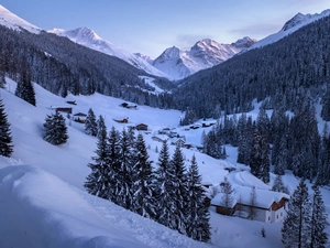Alps Mountains, Switzerland, Canton Graubunden, Davos City, viewes, Houses, woods, trees, winter