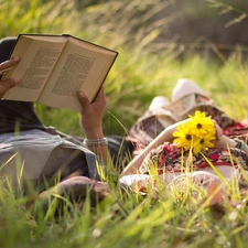 Steam, Meadow, Yellow, Flowers, Book, grass