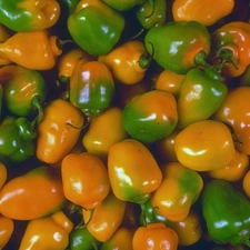 peppers, green ones, Yellow