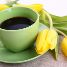 Yellow, Tulips, cup, coffee, Green