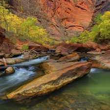 Zion National Park, Virgin River, canyon, rocks, viewes, Utah State, The United States, trees