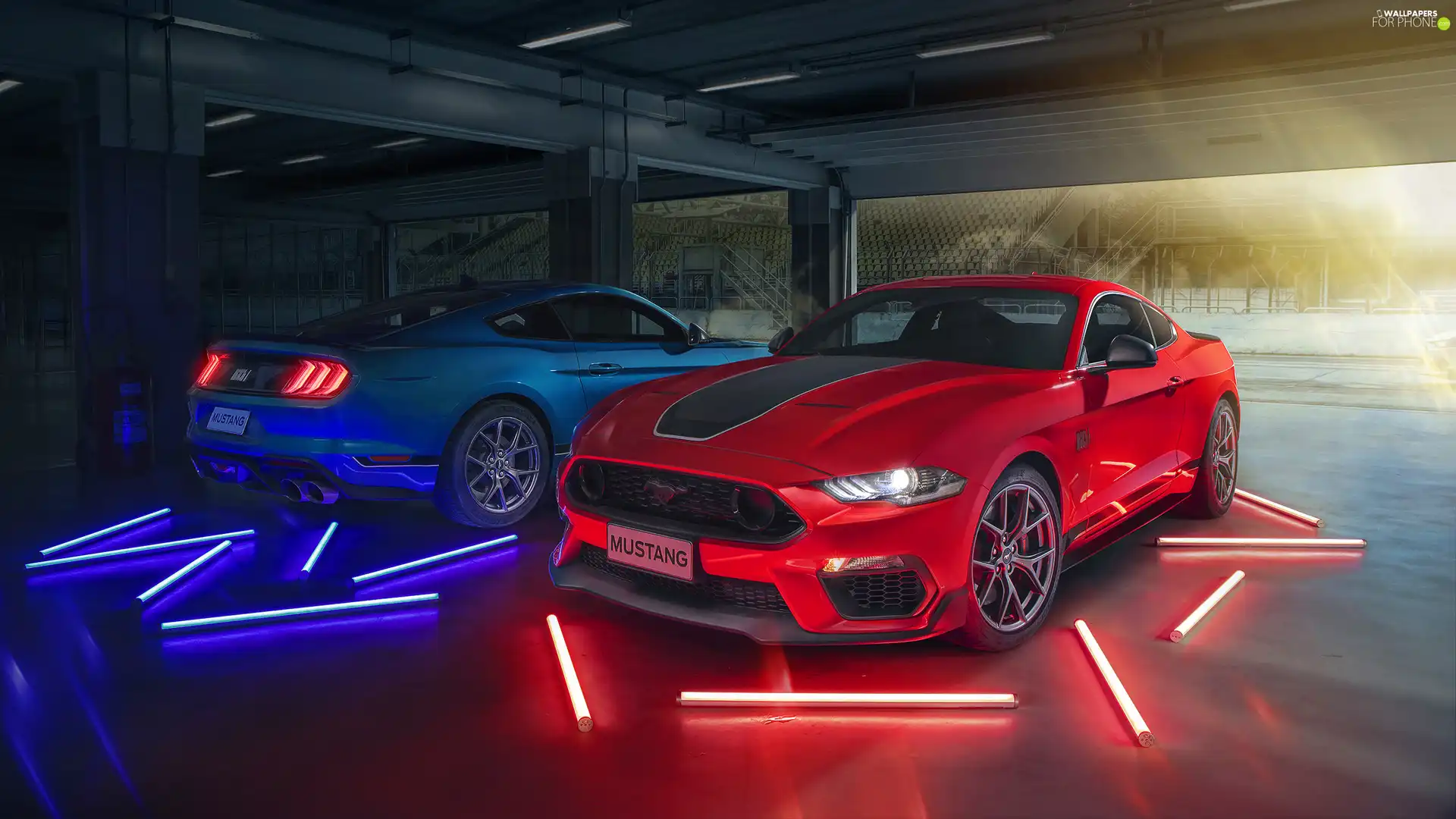 Ford Mustang Mach 1, Two cars, cars