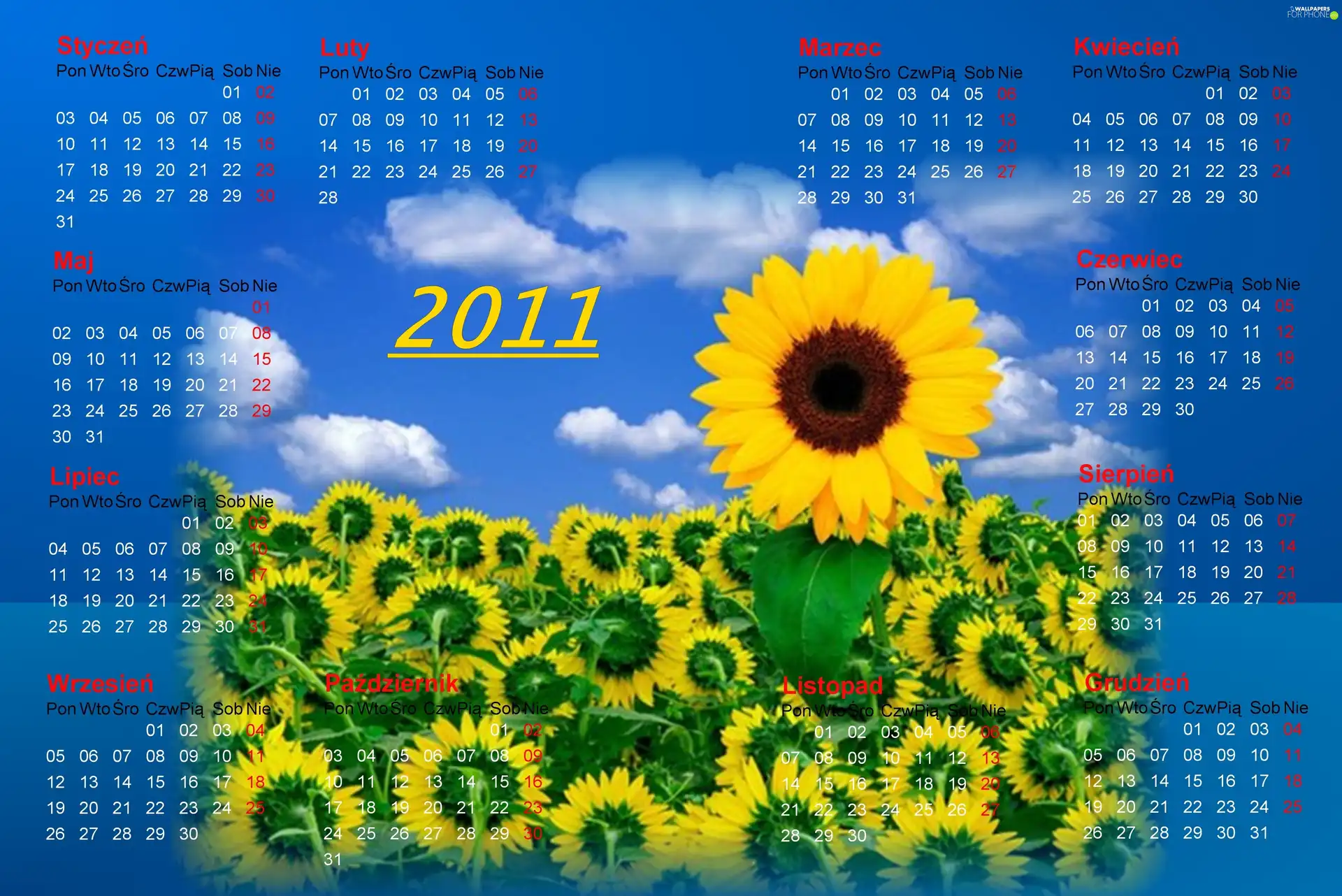 Sunflower, Calendar 2011