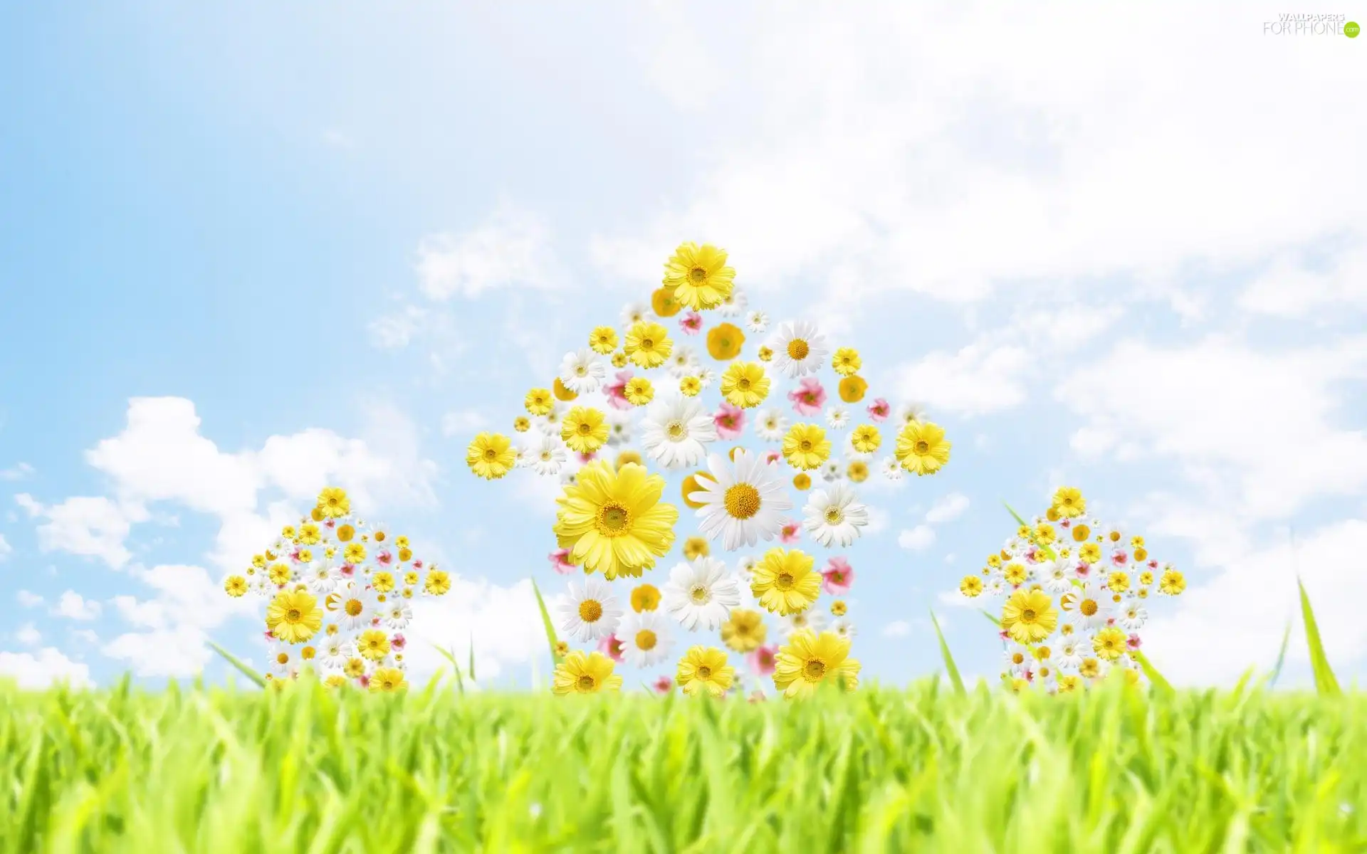 For Children, Flowers, 2D, grass