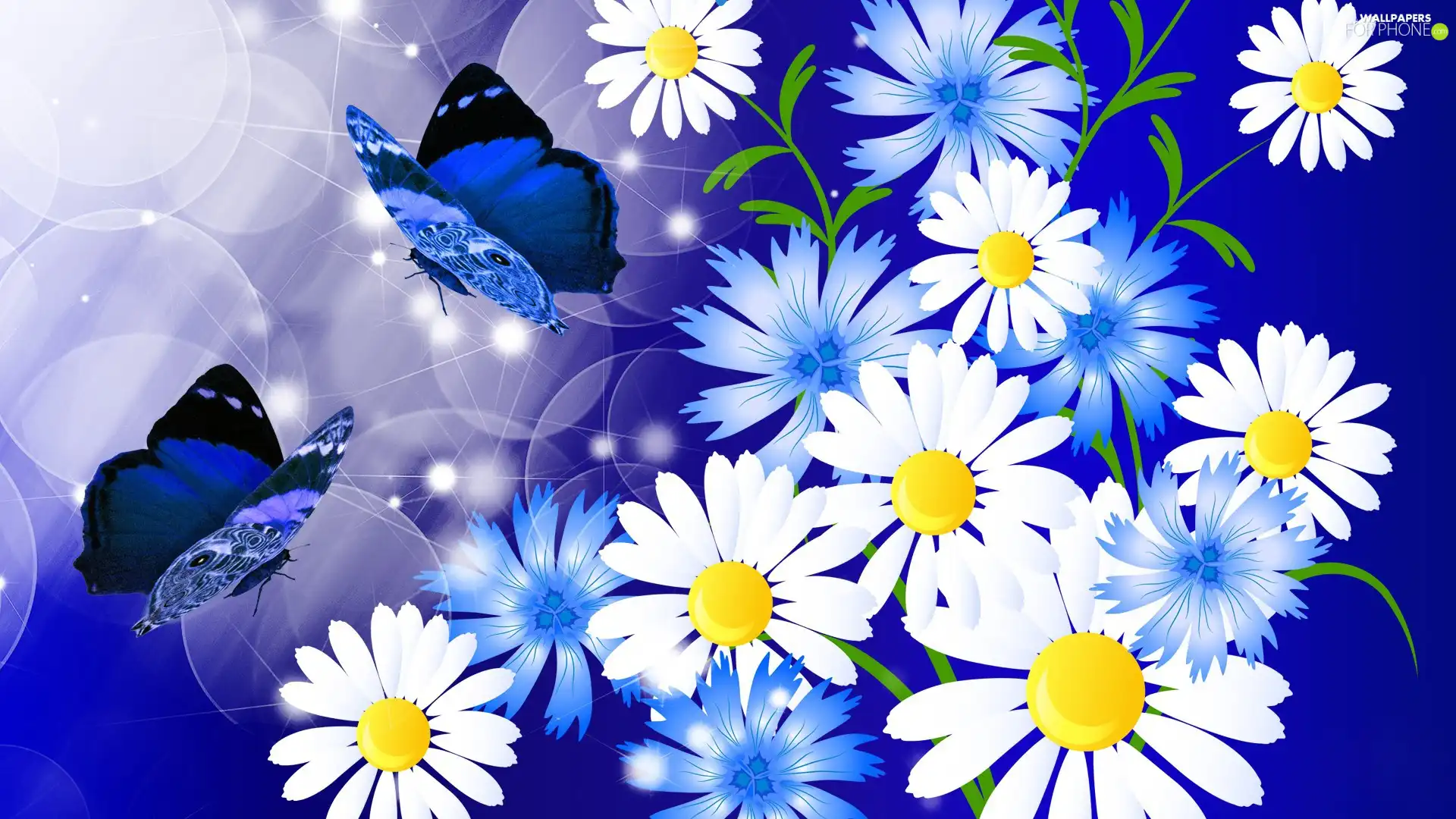 Flowers, butterflies, 2D, daisies