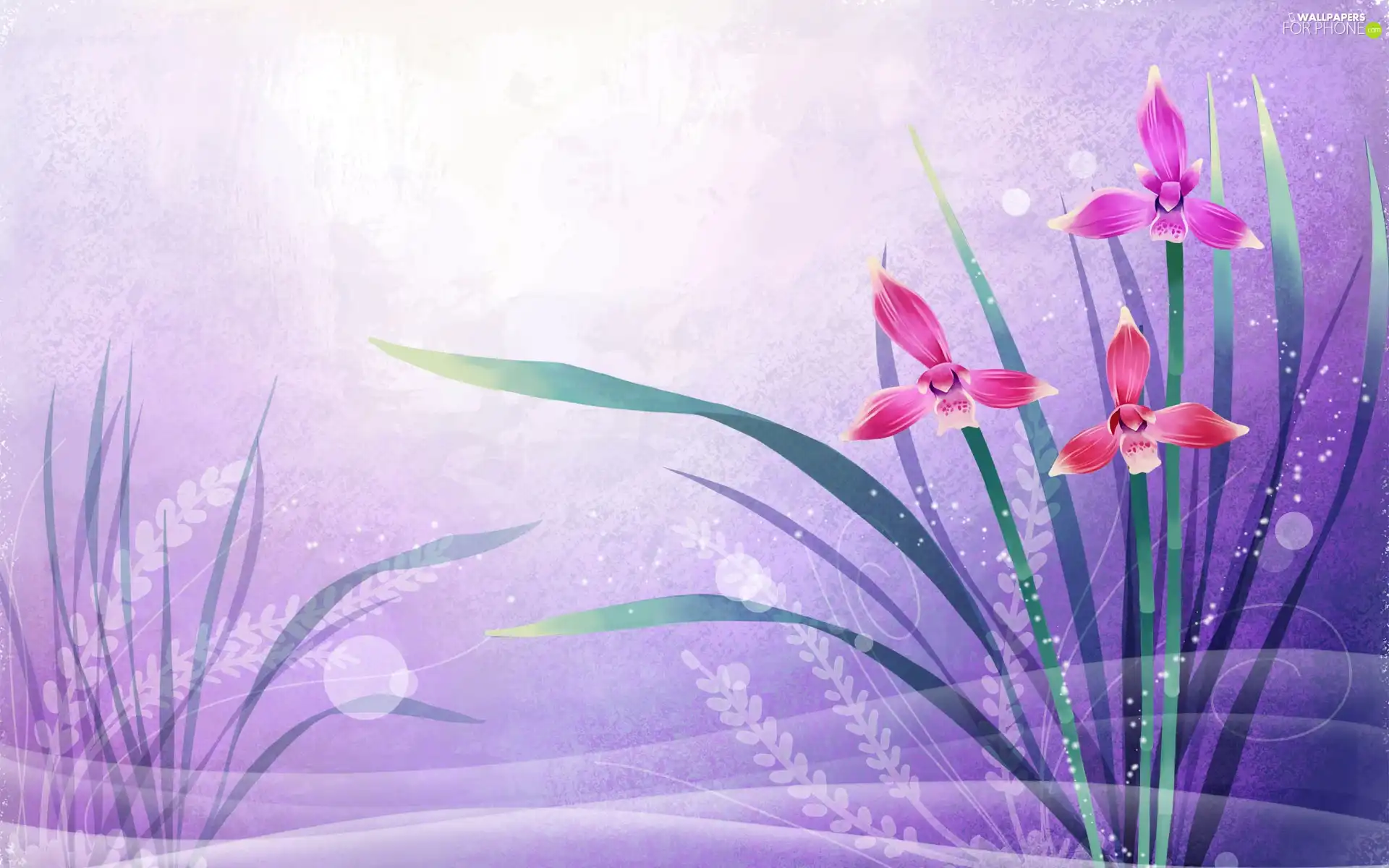 2D, graphics, Flowers