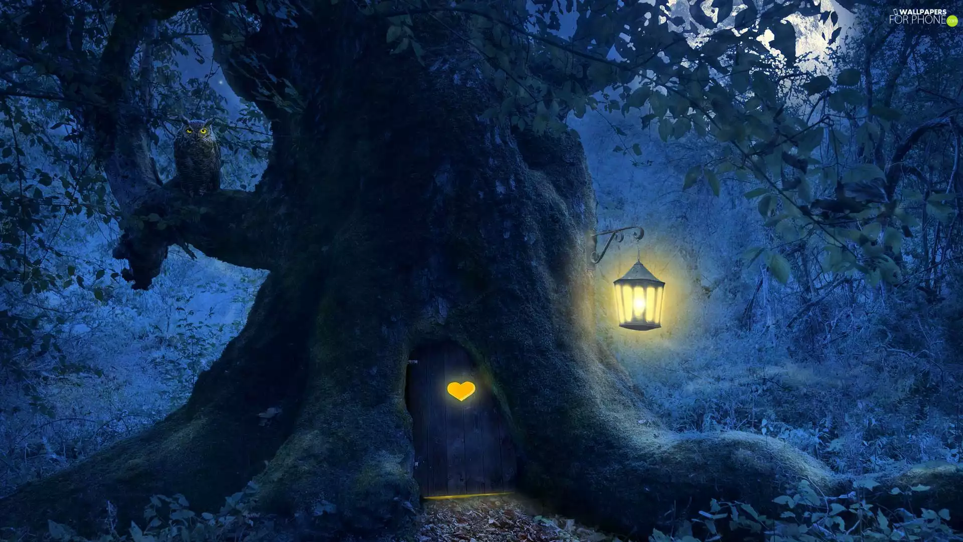 Doors, Night, lantern, 2D, owl, trees