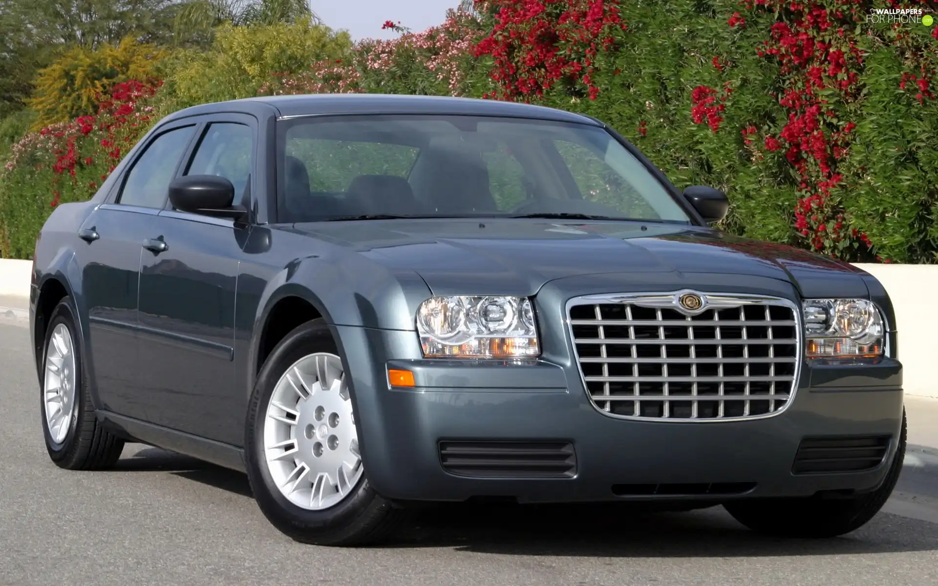 Gray, Chrysler 300C