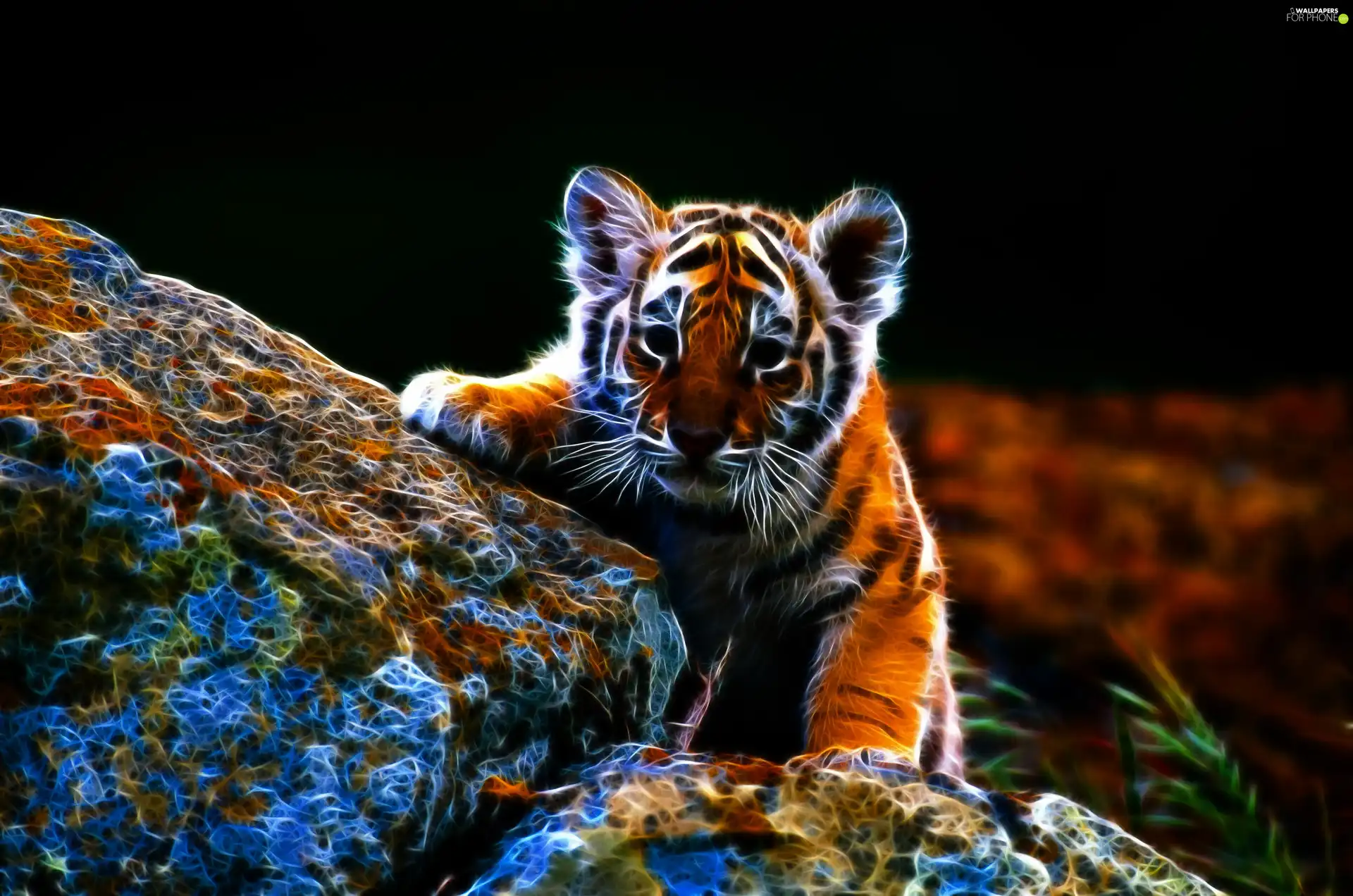 tiger, Leaf, 3D, Stones