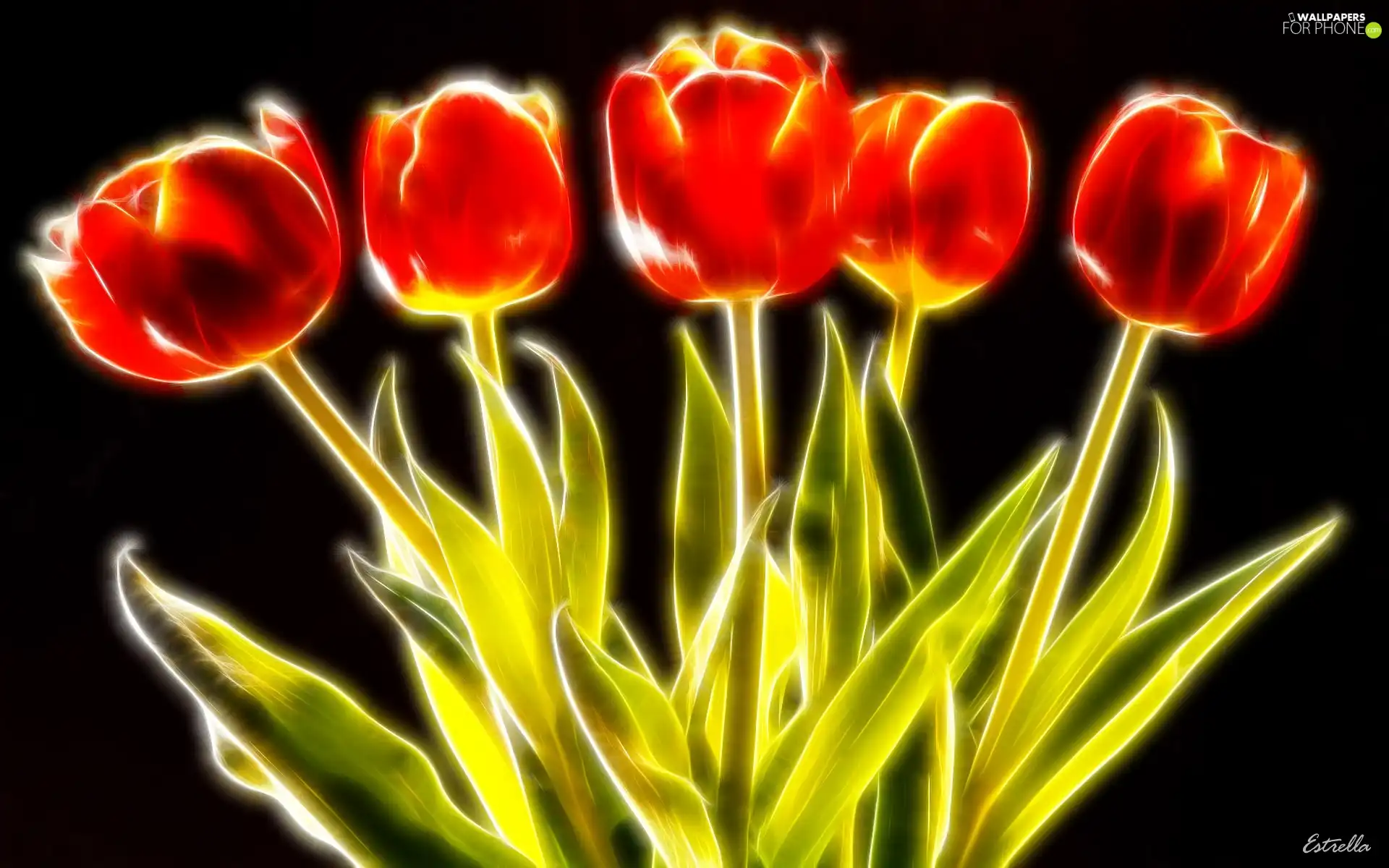3D, six, tulips