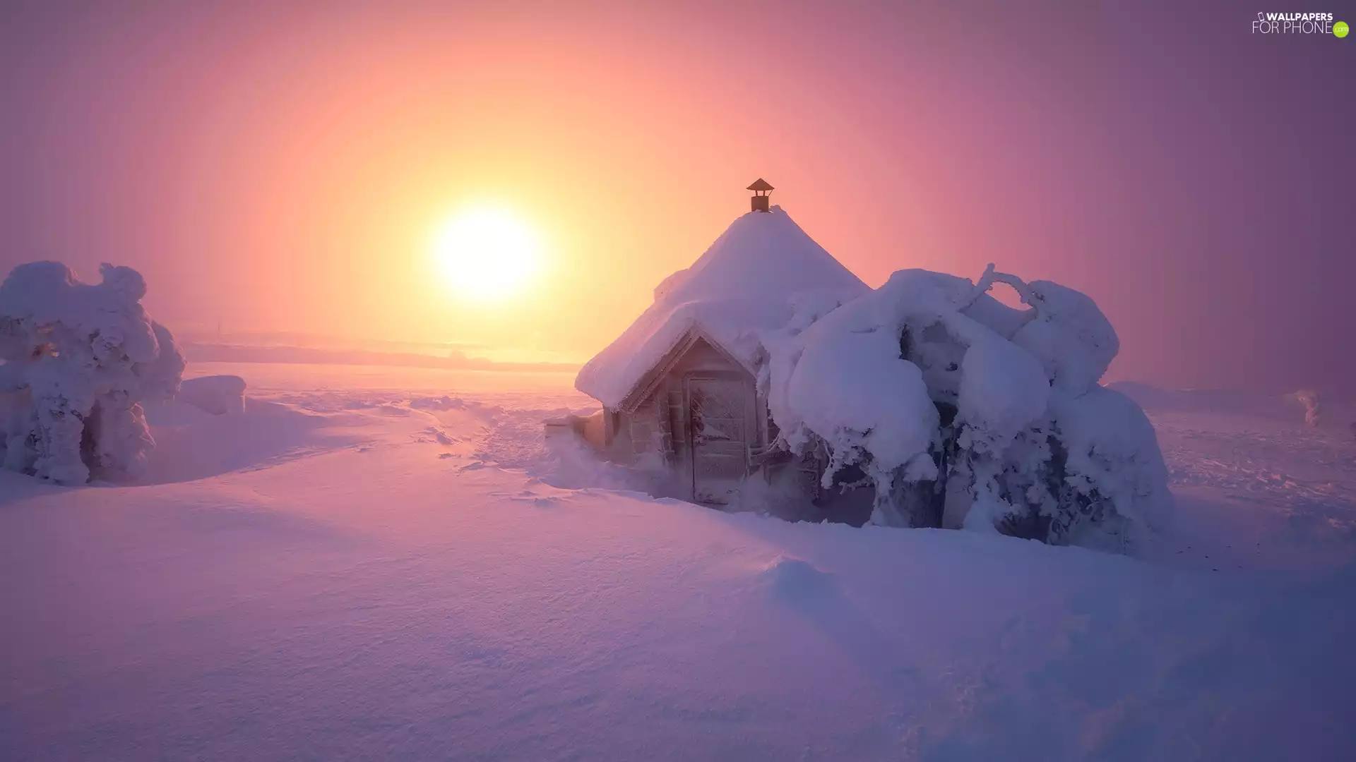 A snow-covered, cottage, Sunrise, house, viewes, snow, winter, trees
