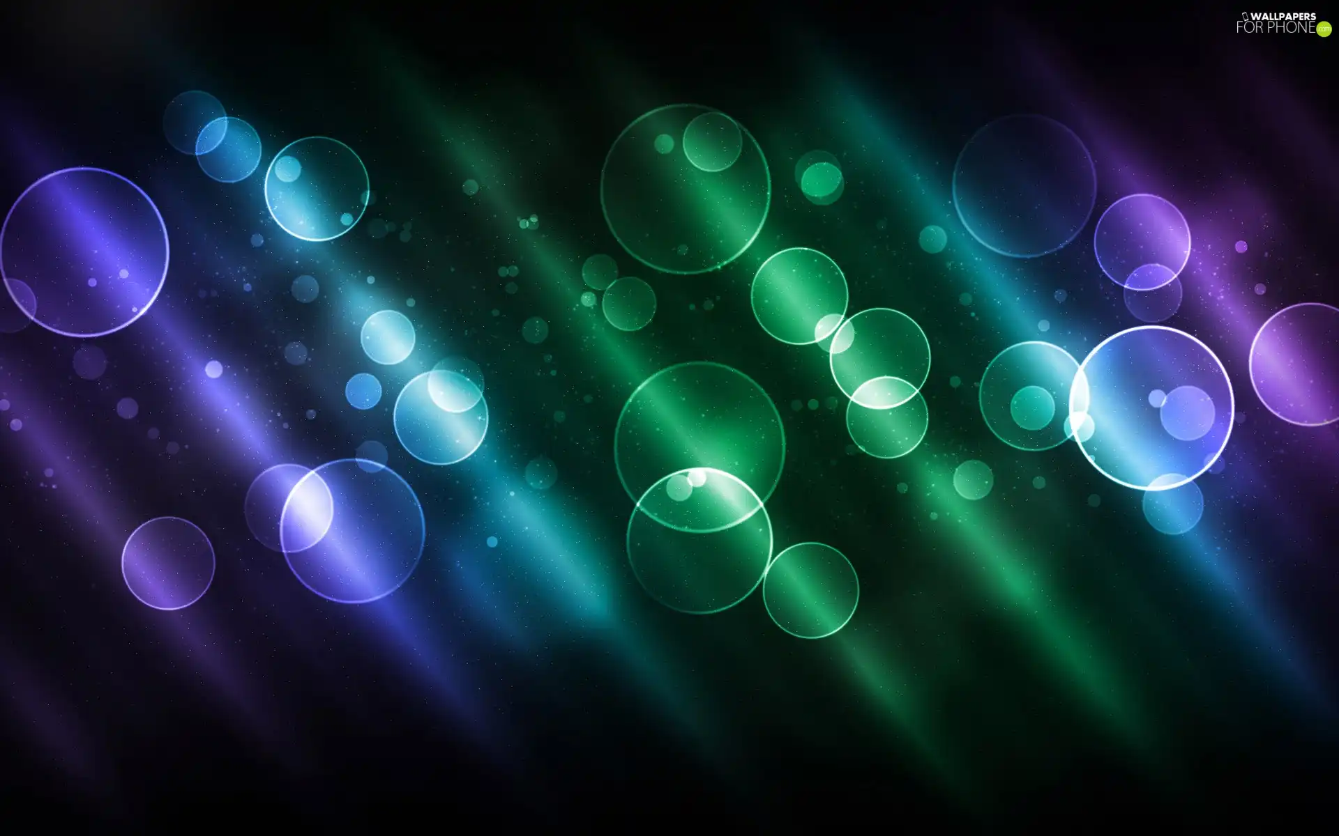 abstraction, scotomas, circles