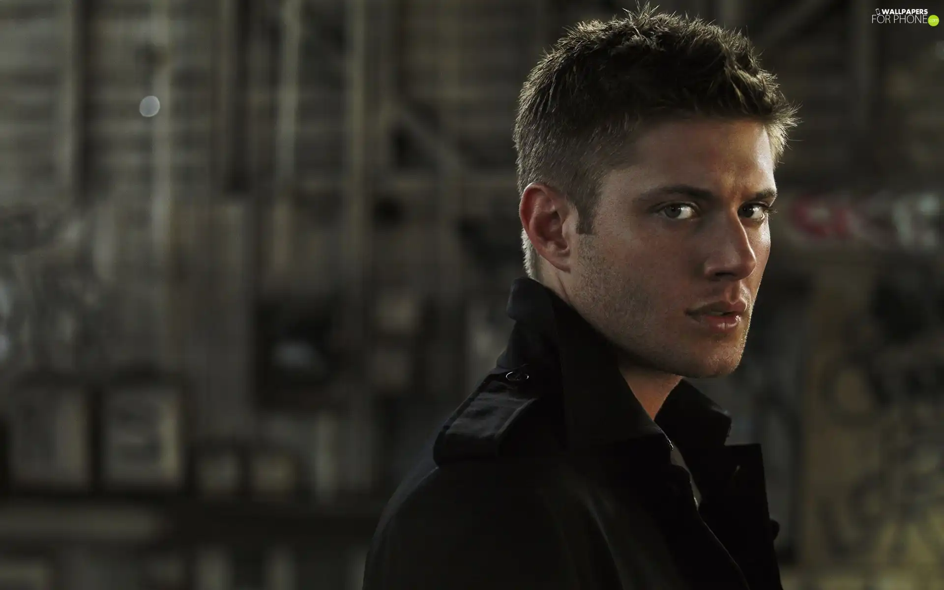 The look, Jensen Ackles, actor