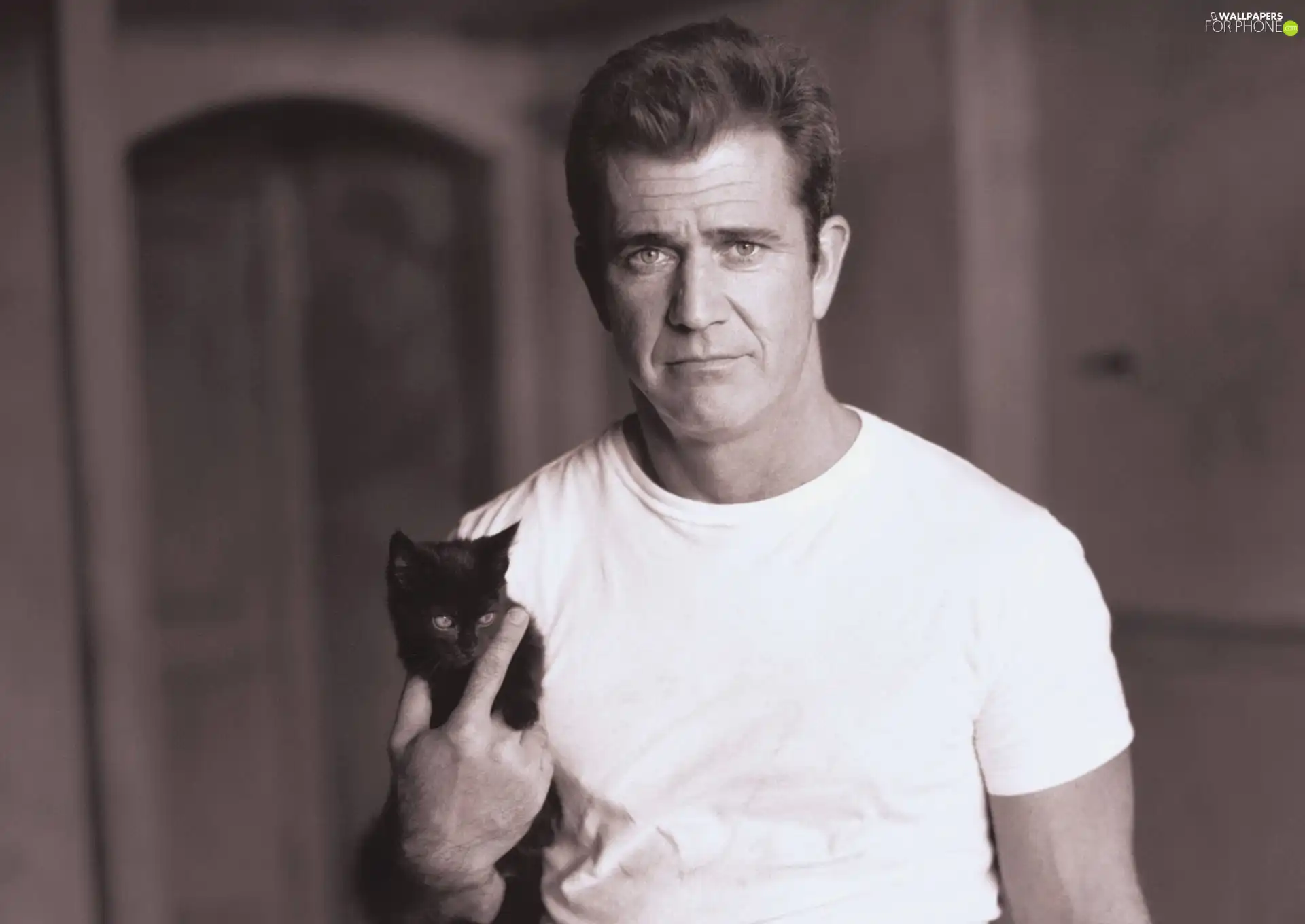 cat, Mel Gibson, actor