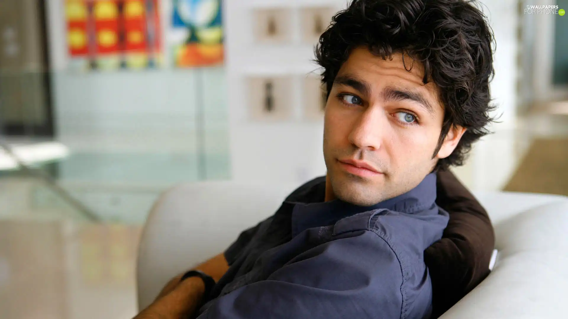 Adrian Grenier, actor