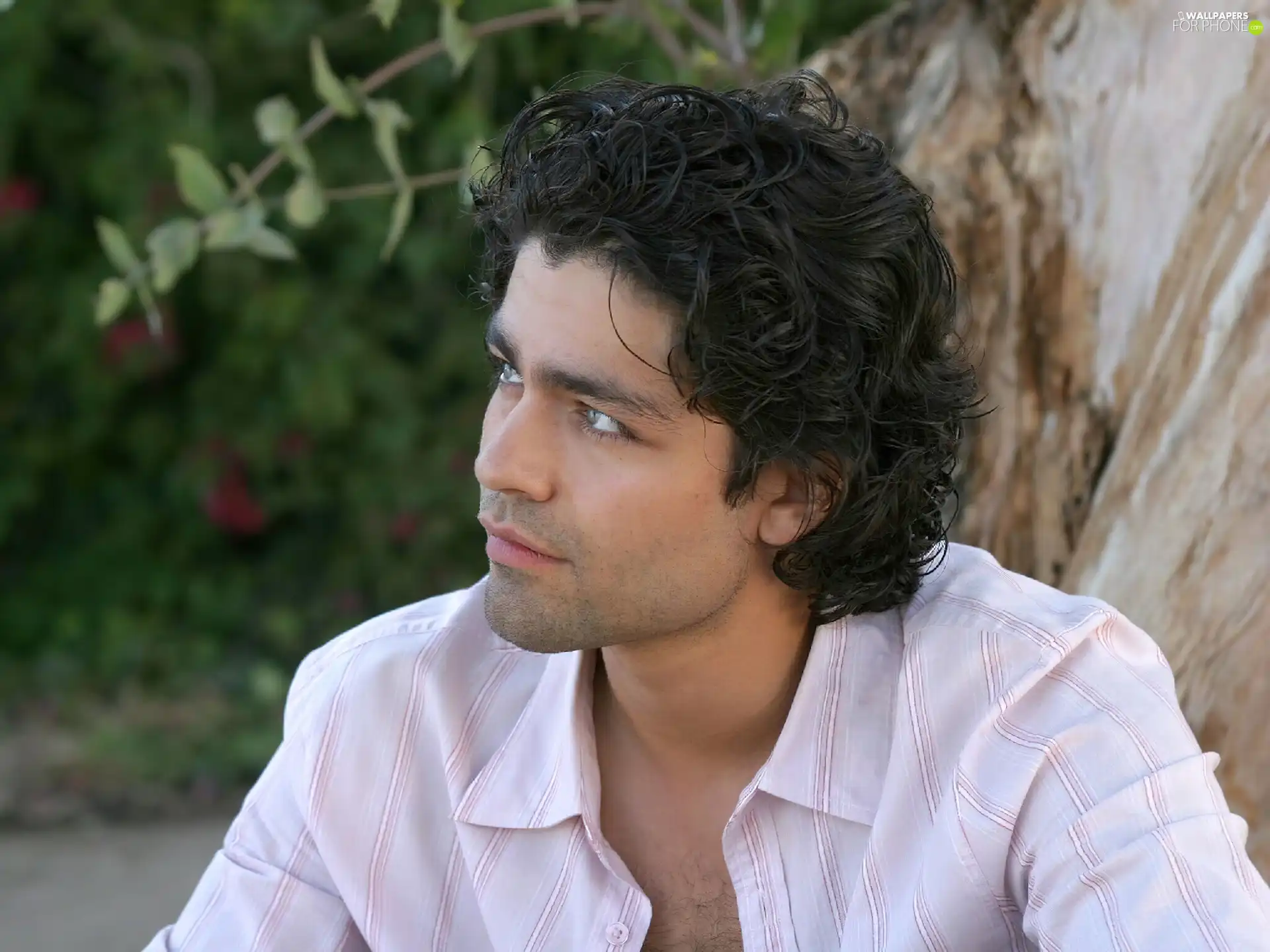 Adrian Grenier