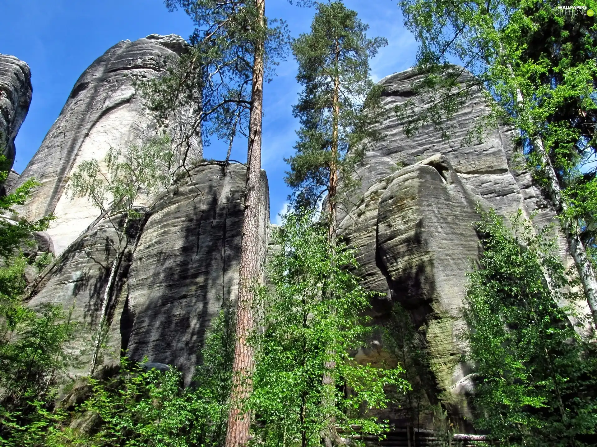 Czech Republic, Rock City, Adrspach