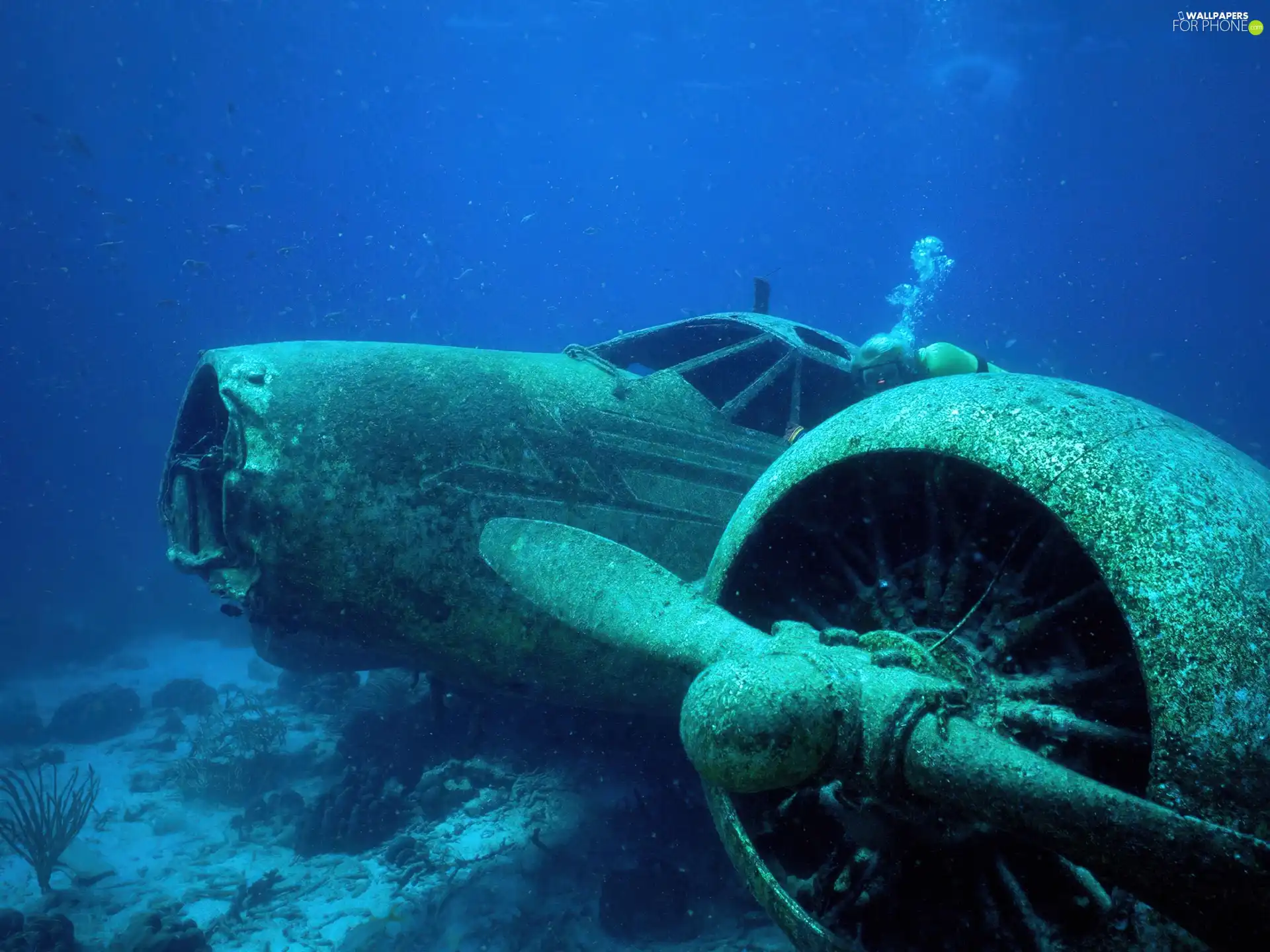 wreck, aircraft