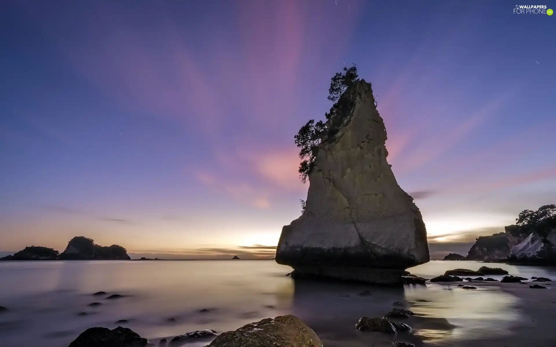 an, Rock, trees, viewes, sea