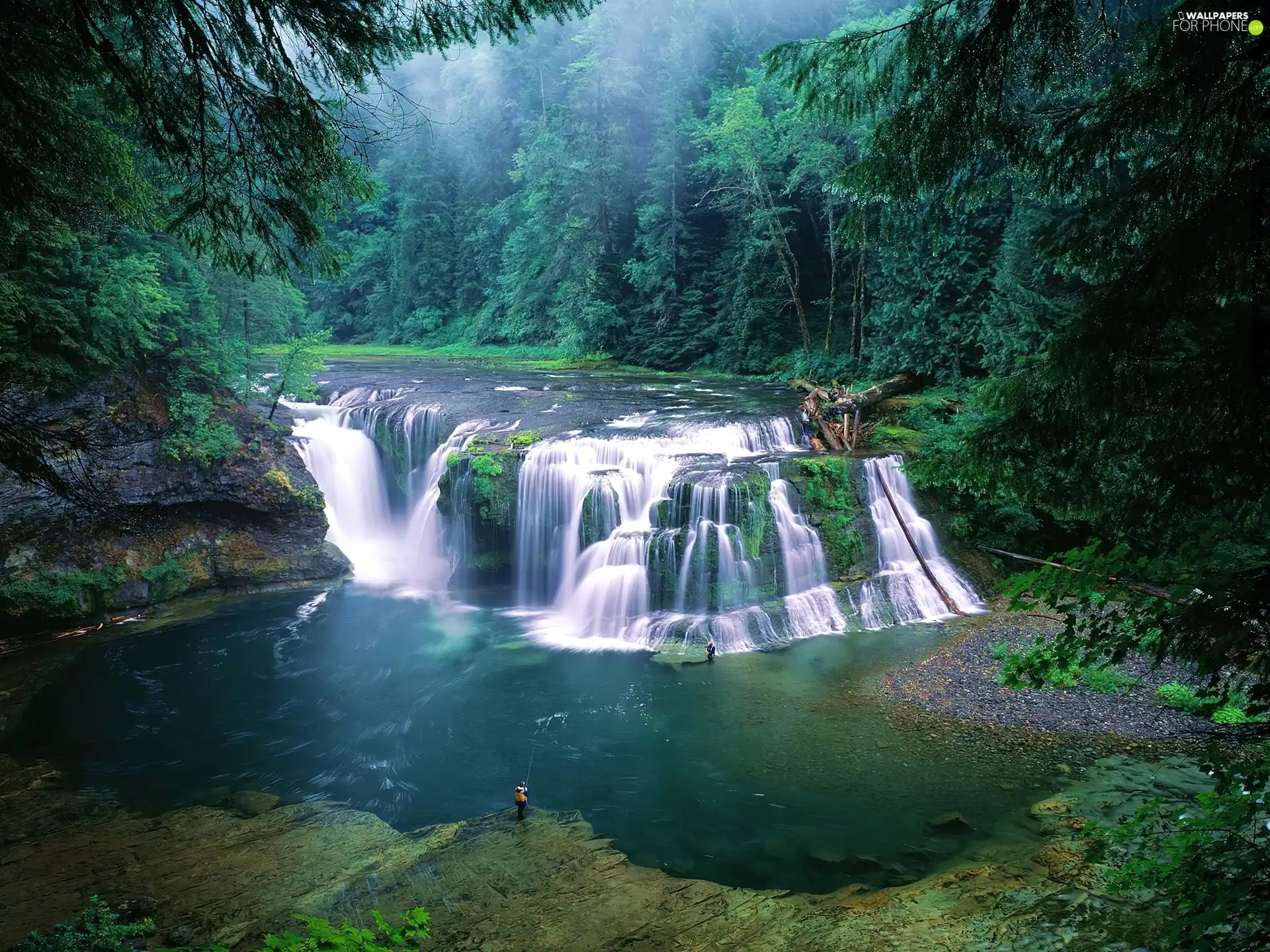 waterfall, forest, Anglers, River